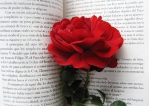 Book & rose