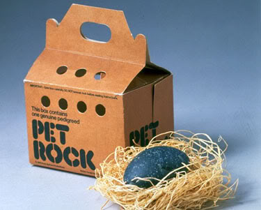 Business Writing Ideas From a Pet Rock 