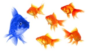 bigstock-Goldfish-15695801