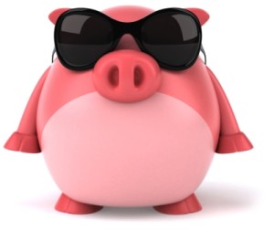 Small pig-sunglasses